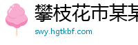 攀枝花市某某电梯维修站